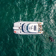 Savoy Charters Ltd logo