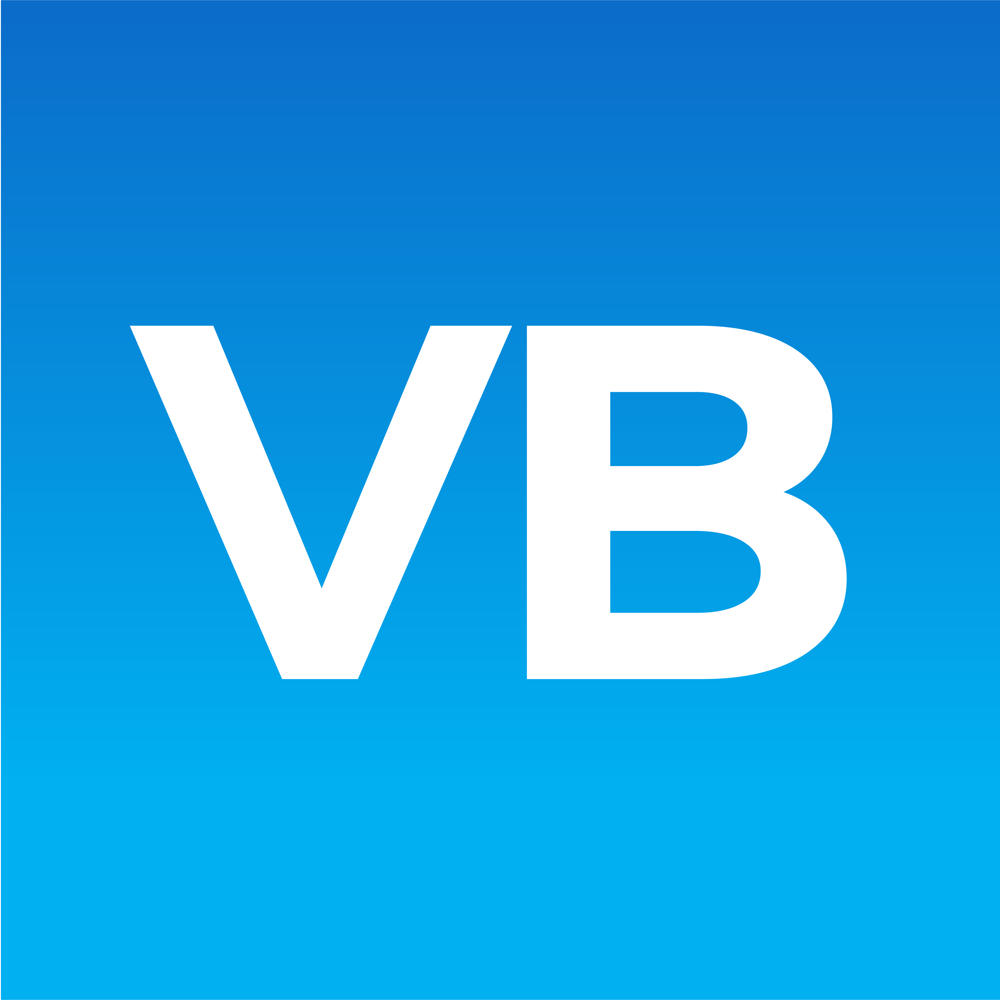 Virtual Blue logo