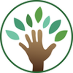 St. Johns Montessori logo