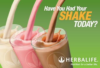 The Shake Man Limited logo