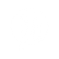 Liftsmart NZ logo