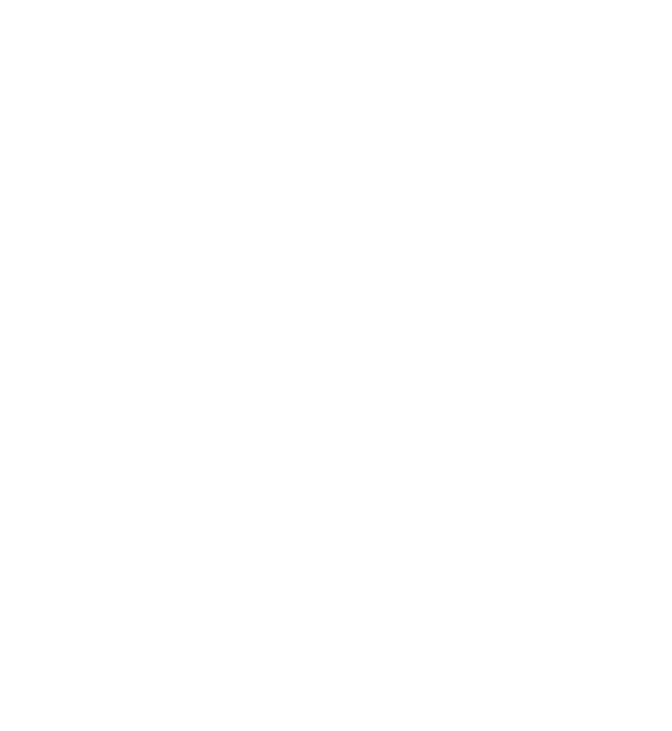 Diamond Shine Concrete logo