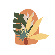 Succulent Styling Ltd logo