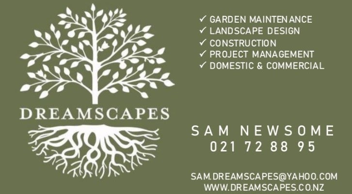 Dreamscapes logo