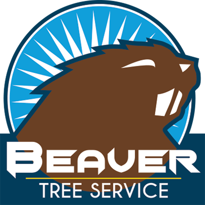Beaver Trees Wellington Ltd logo
