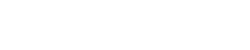 Voxel Studio logo