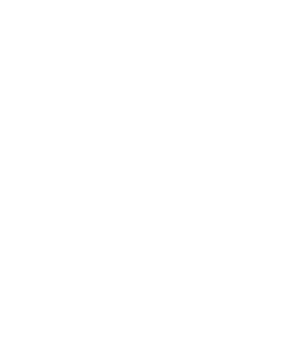 Rise Real Estate logo
