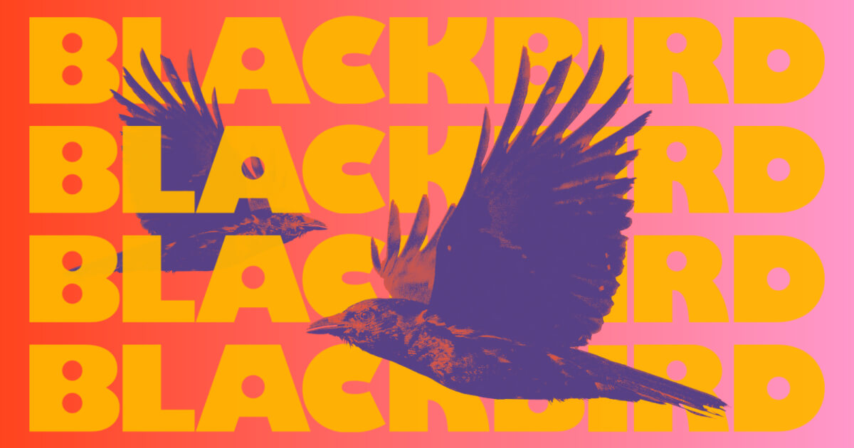 Blackbird Ventures Nz Limited logo