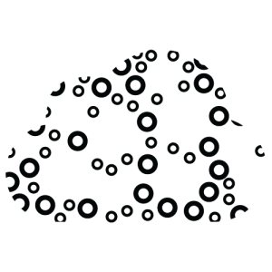 Cloudswitch logo