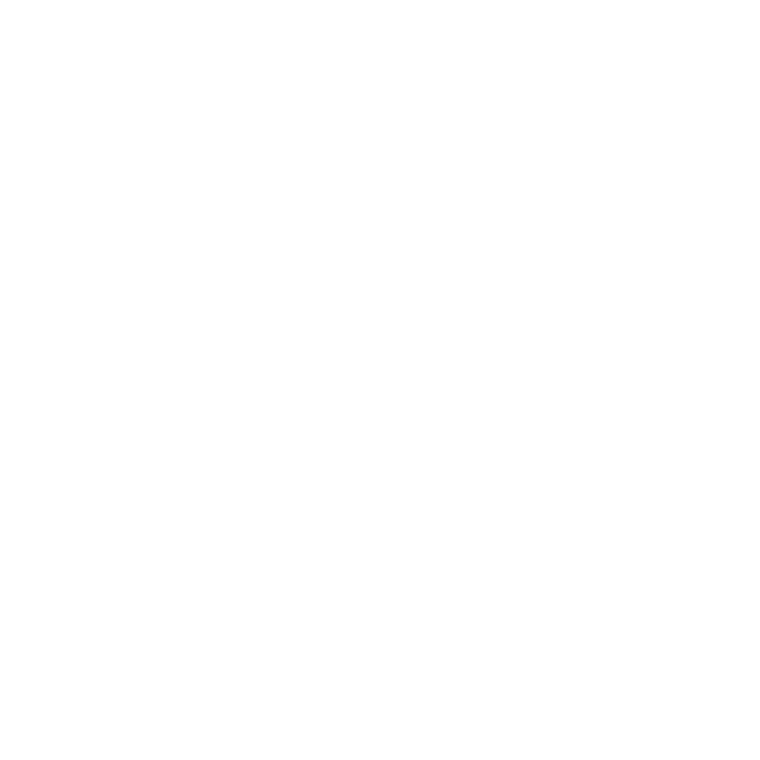 Designer Studios Limited logo