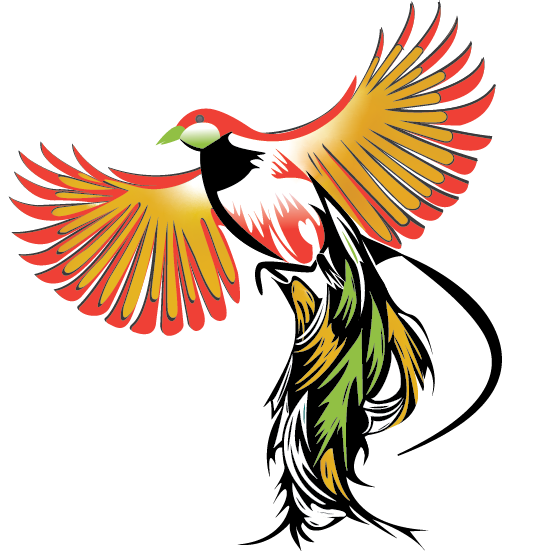 Paradise Coatings 2020 logo