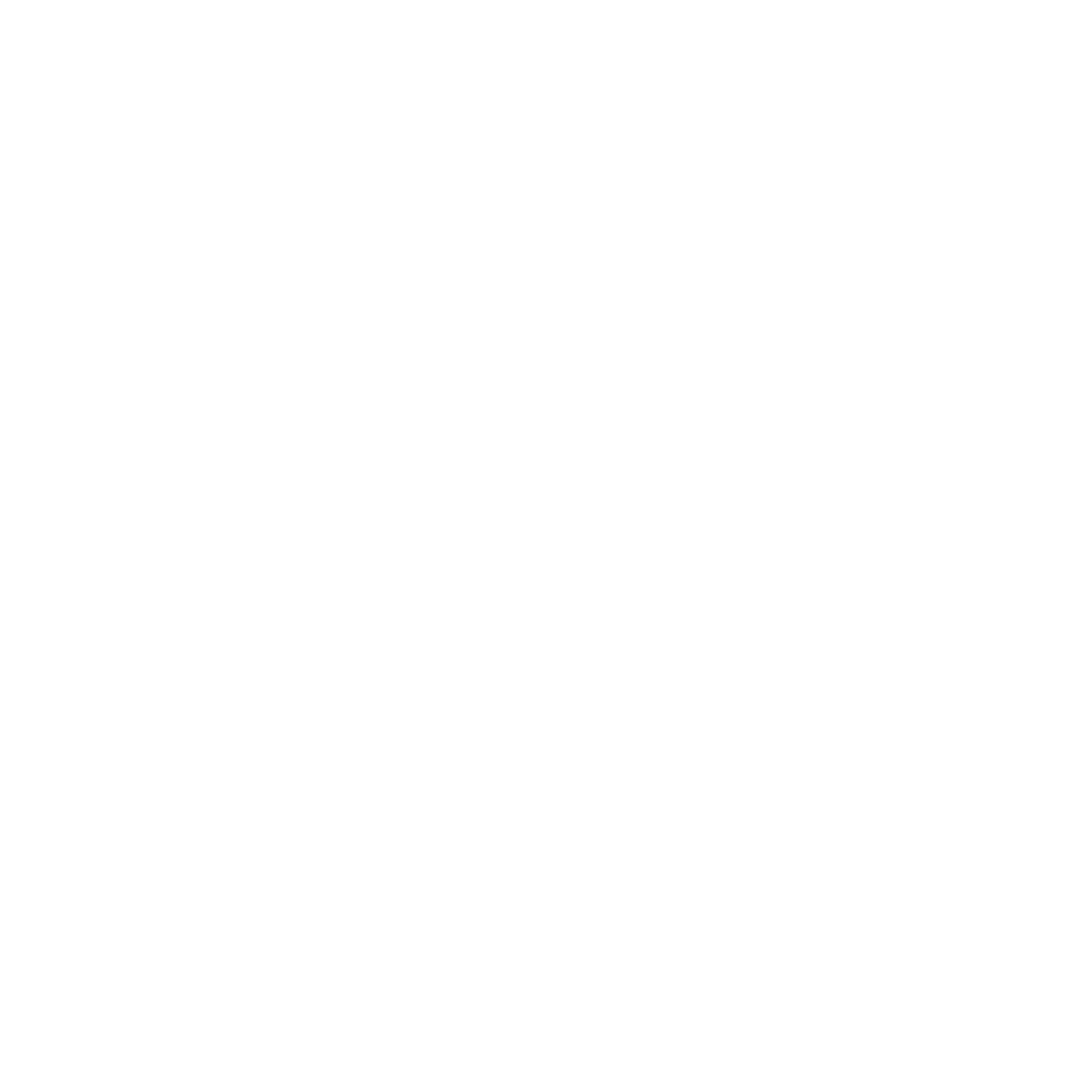 Mr Homes Inspector Limited logo