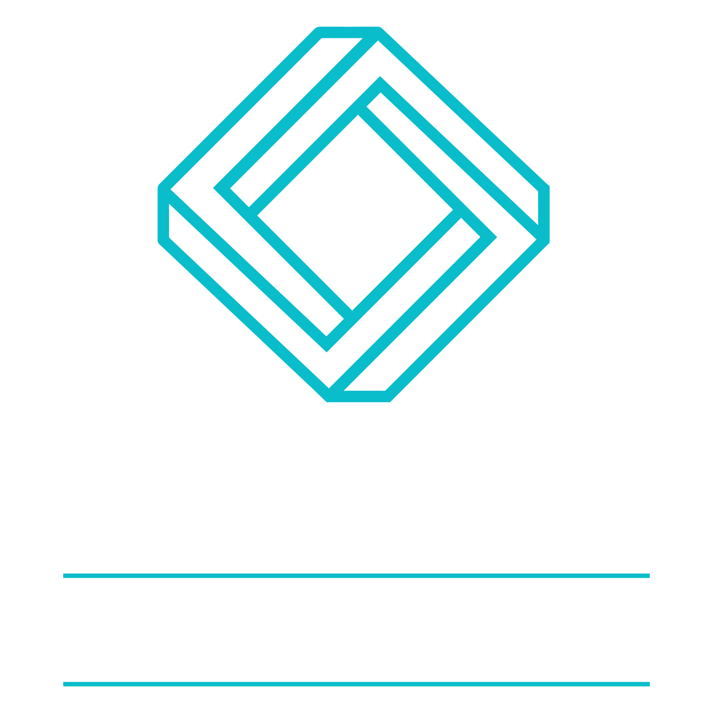 Next Level Developments logo