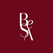 Besa Social logo