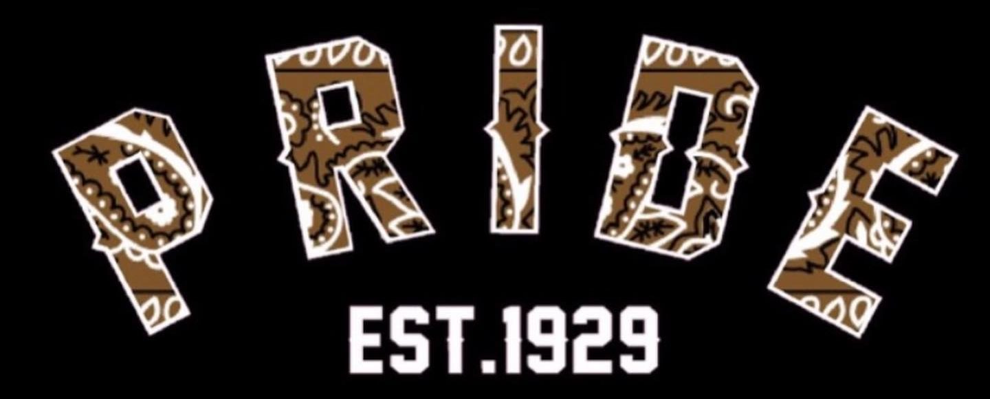 BROWN PRIDE NZ logo