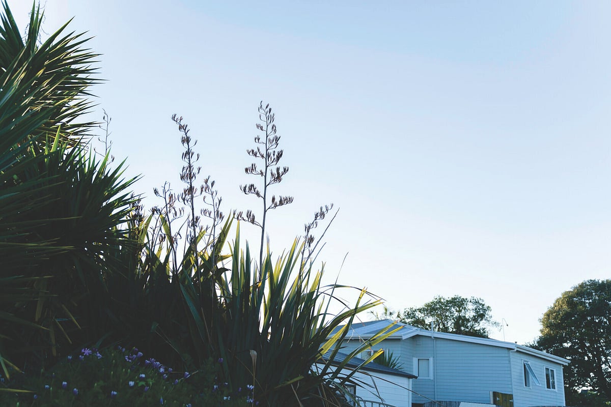 The Mortgage Whanau logo