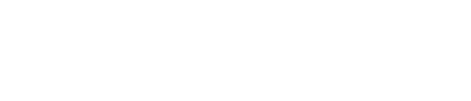 Pinpoint Digital logo