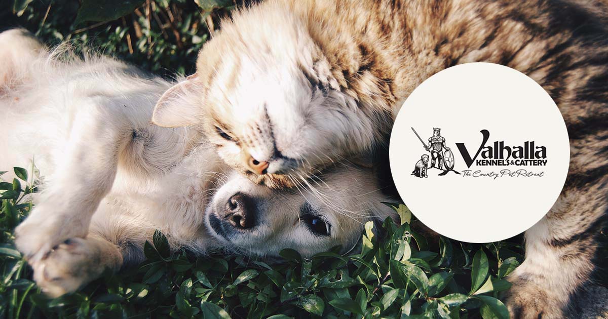 Valhalla Kennels logo