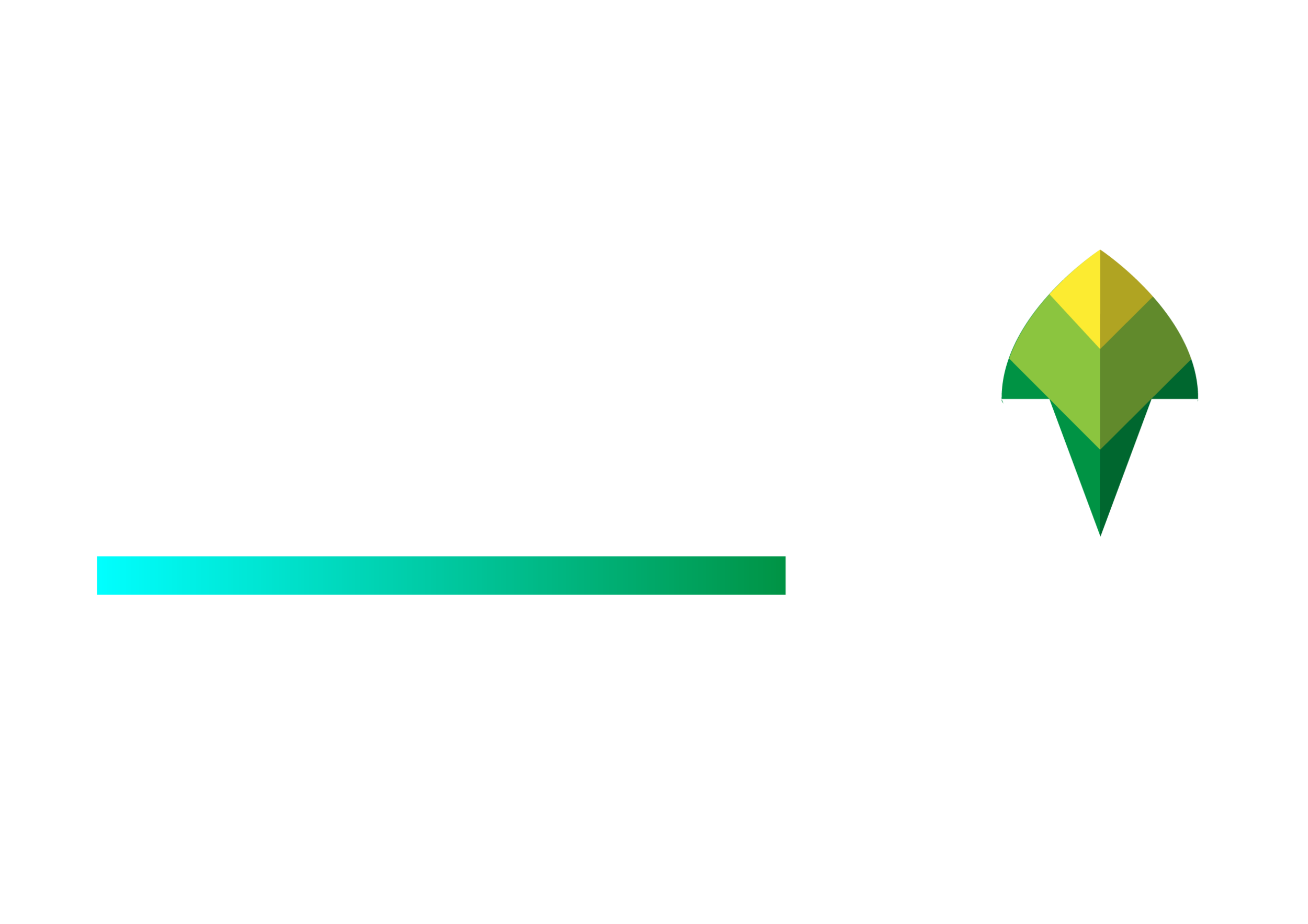Evolve Ev Limited logo