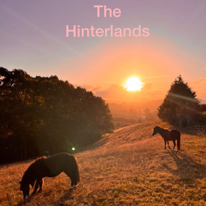 The Hinterlands Limited logo