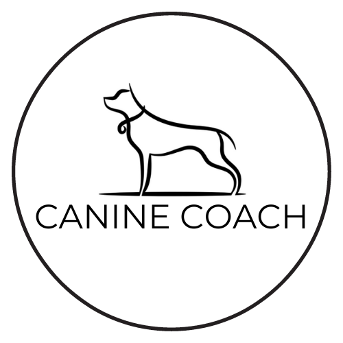 Canine Coach Ltd logo
