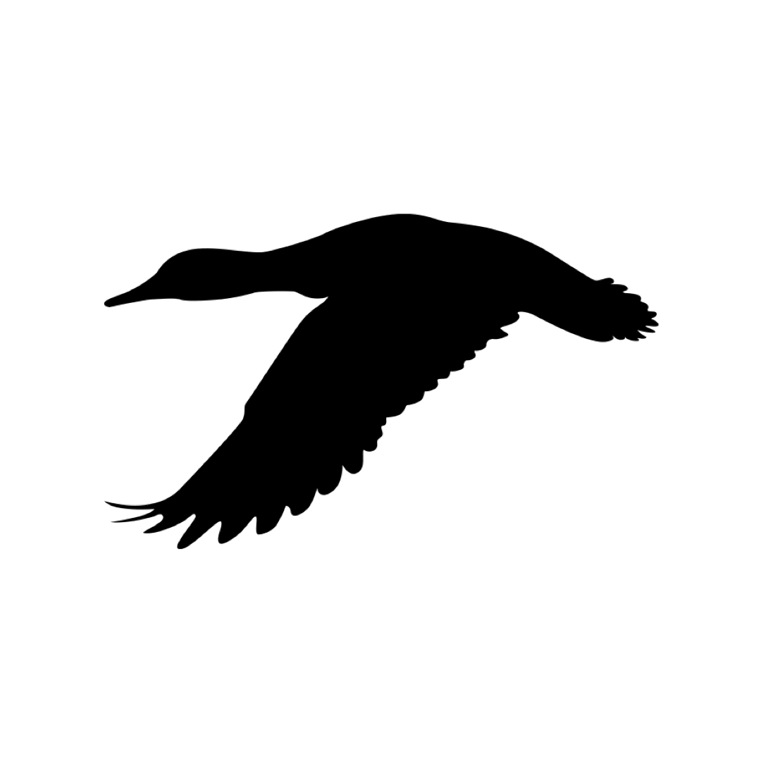Flyingbird Arts Limited logo