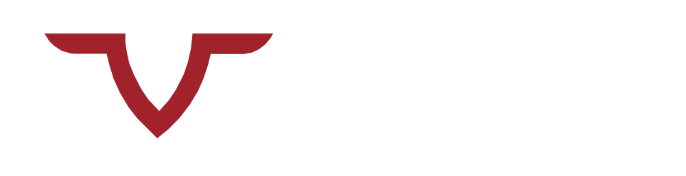 Valkyrie Storage Solutions logo
