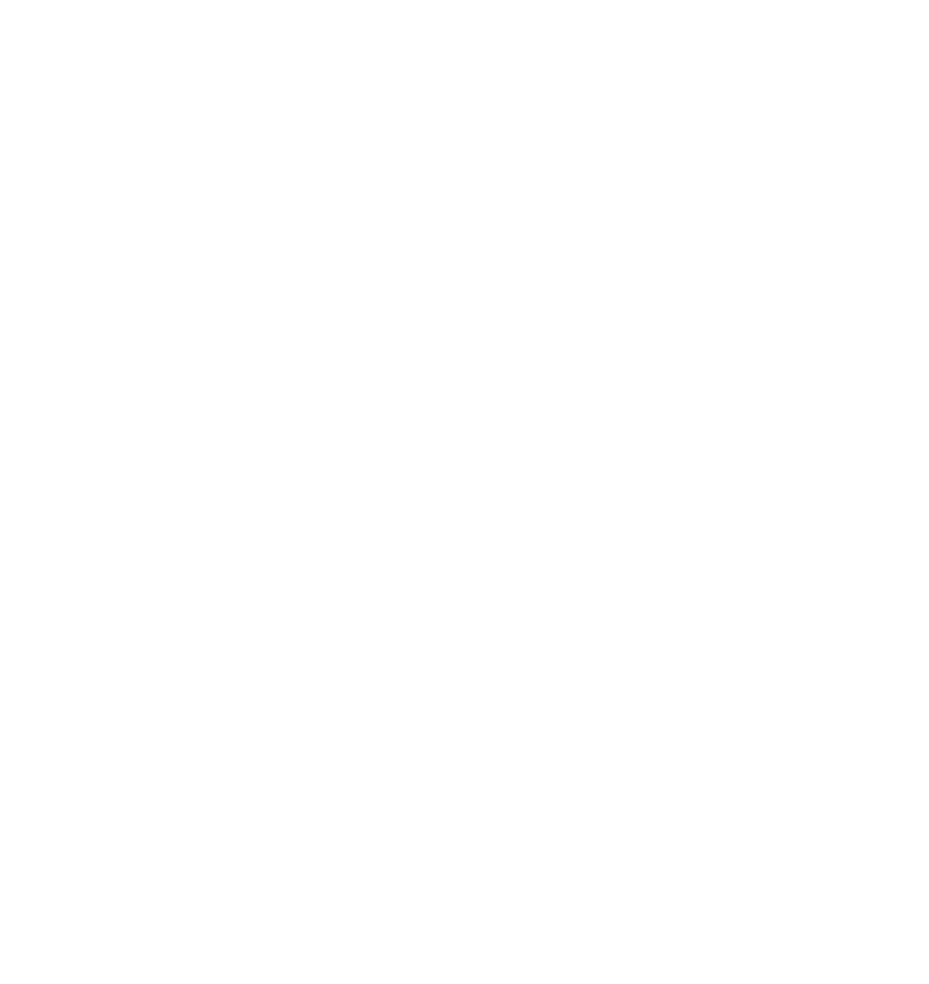 The Story Co. logo