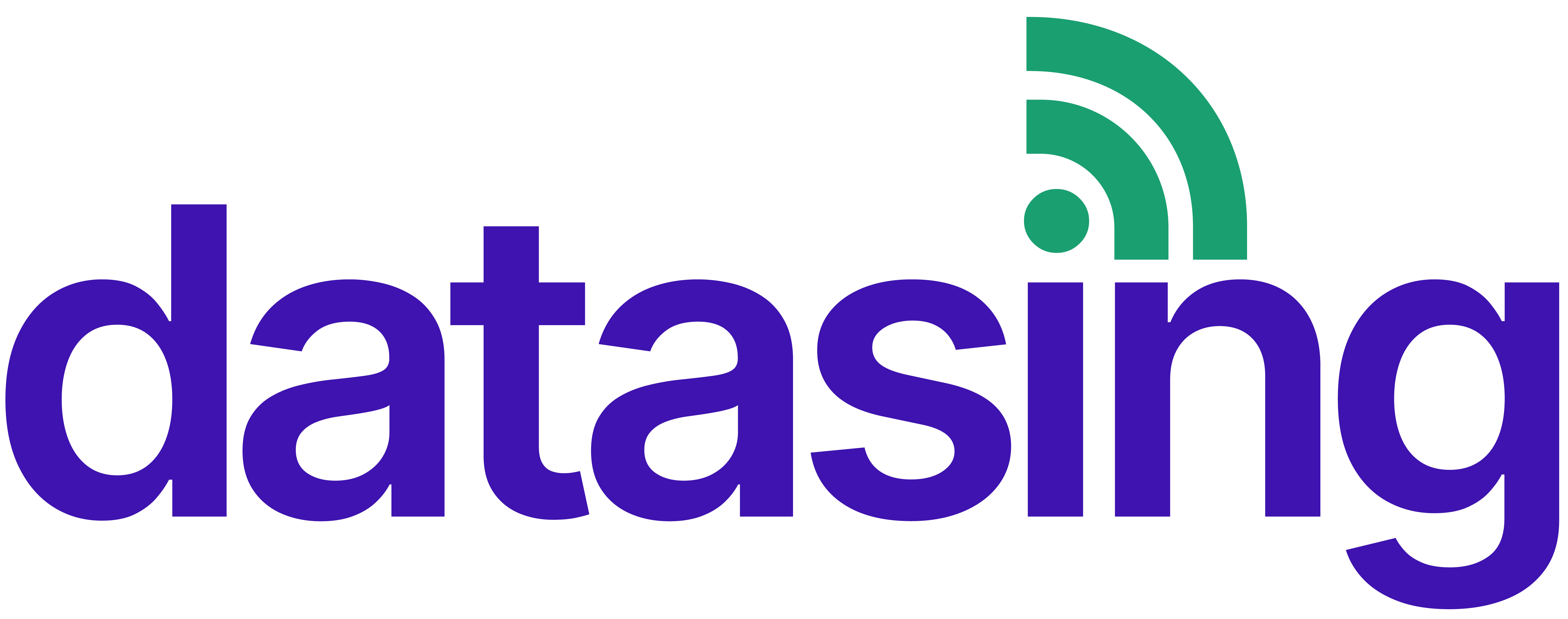 DATASING logo