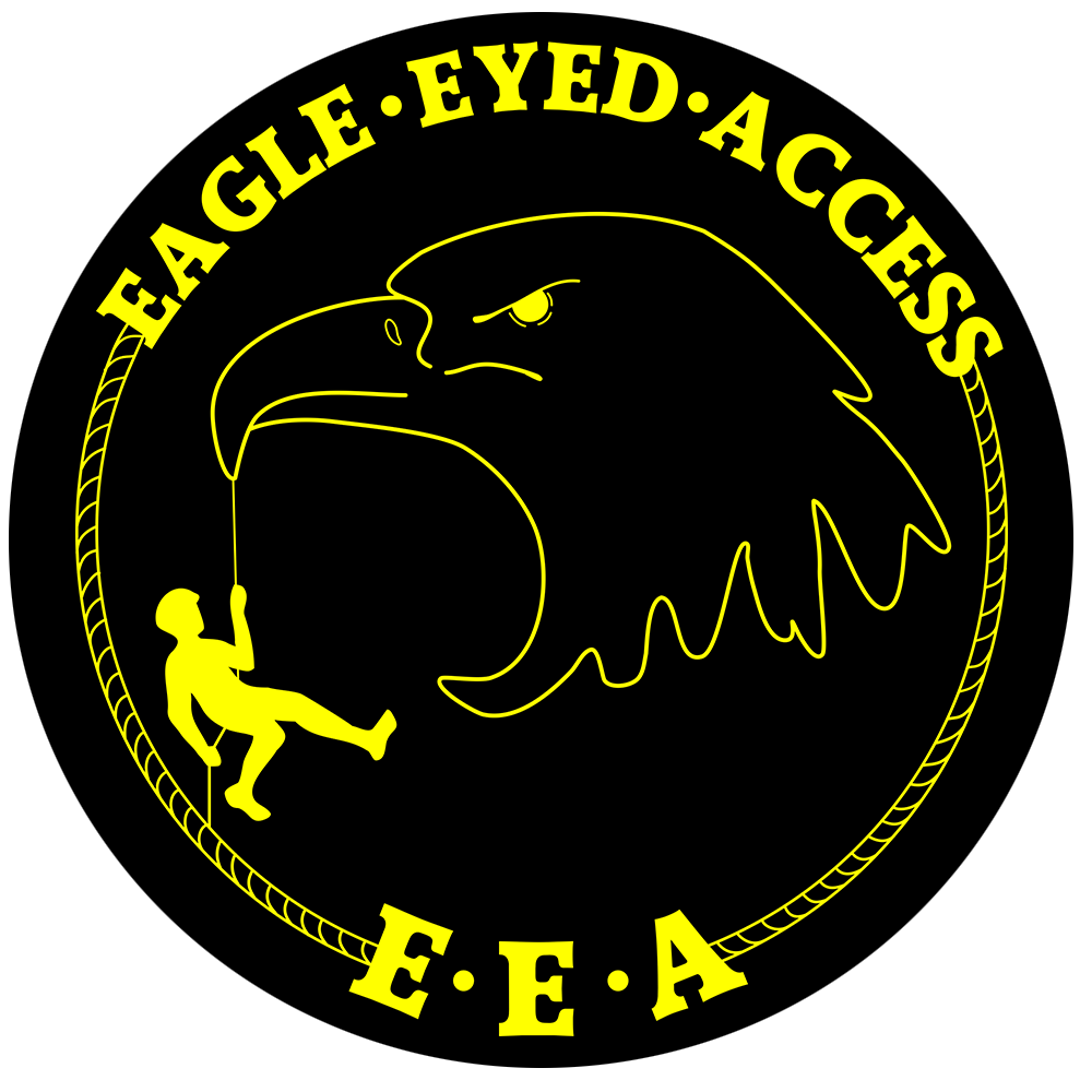 Eagle Eyed Access logo
