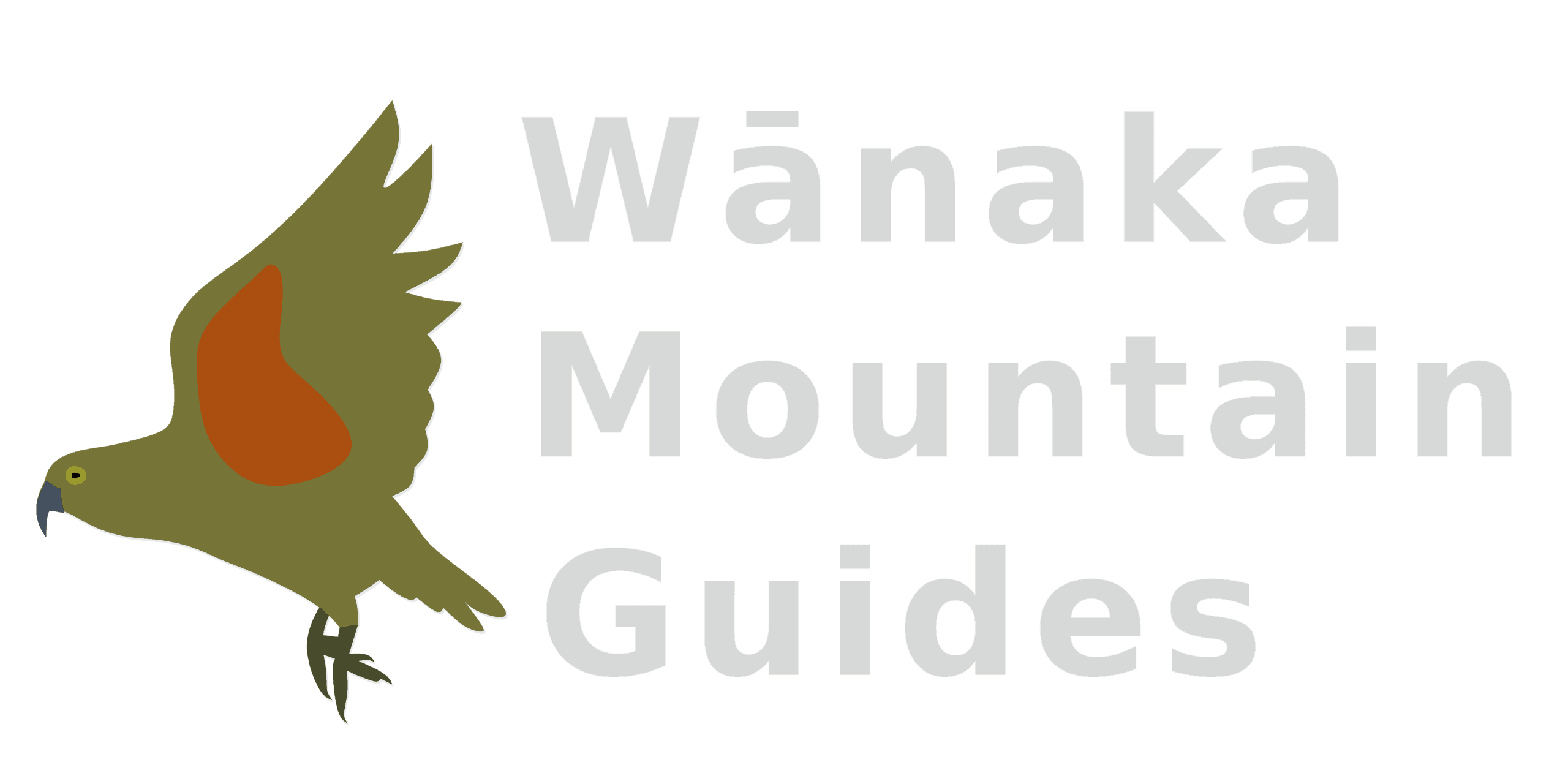 Wanaka Heli Hikes logo
