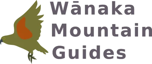 Wanaka Mountain Guides logo