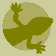 Moko-Papa Limited logo