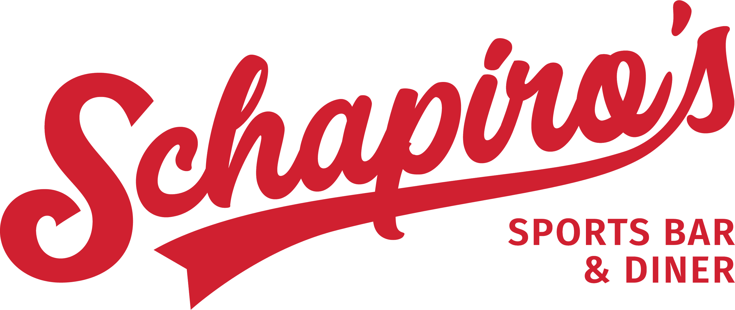 Schapiro's logo