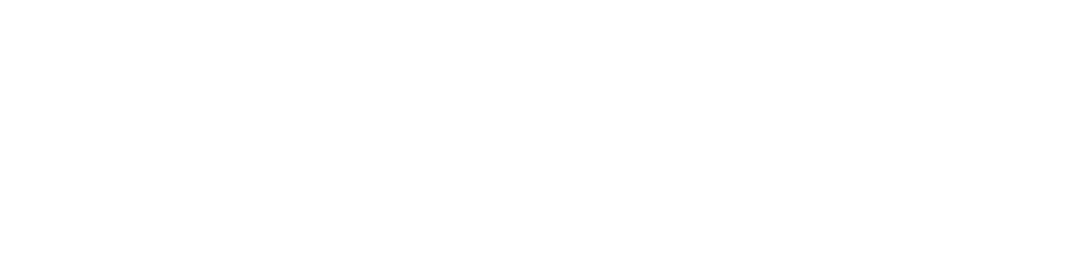 Ice Boy Limited logo