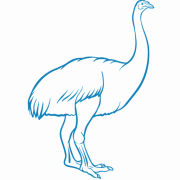 Moa Metals Ltd logo