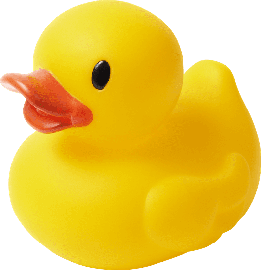 Scrubba Ducky Cleaning Services Ltd logo