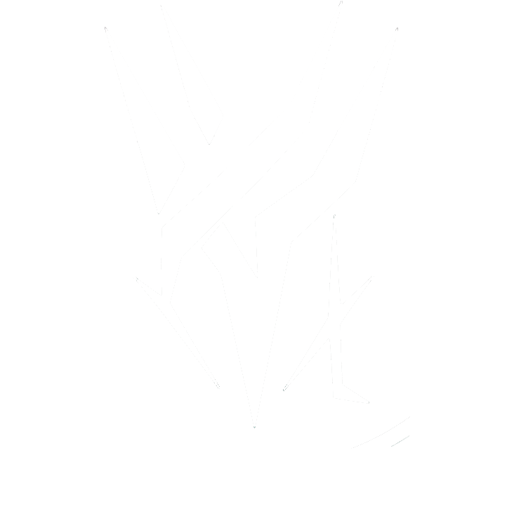 Xandow Games logo