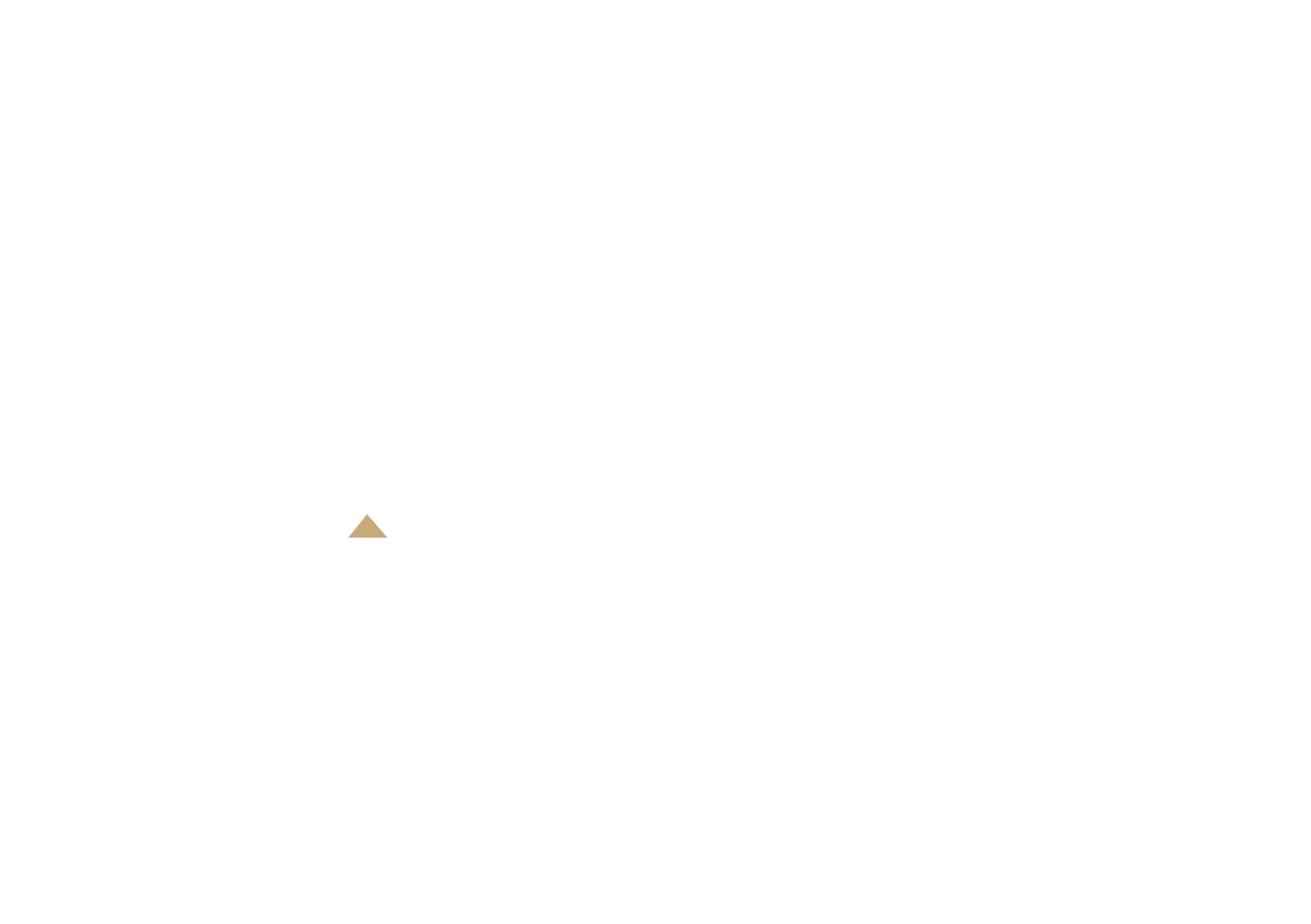 Rachel Allen Marketing logo