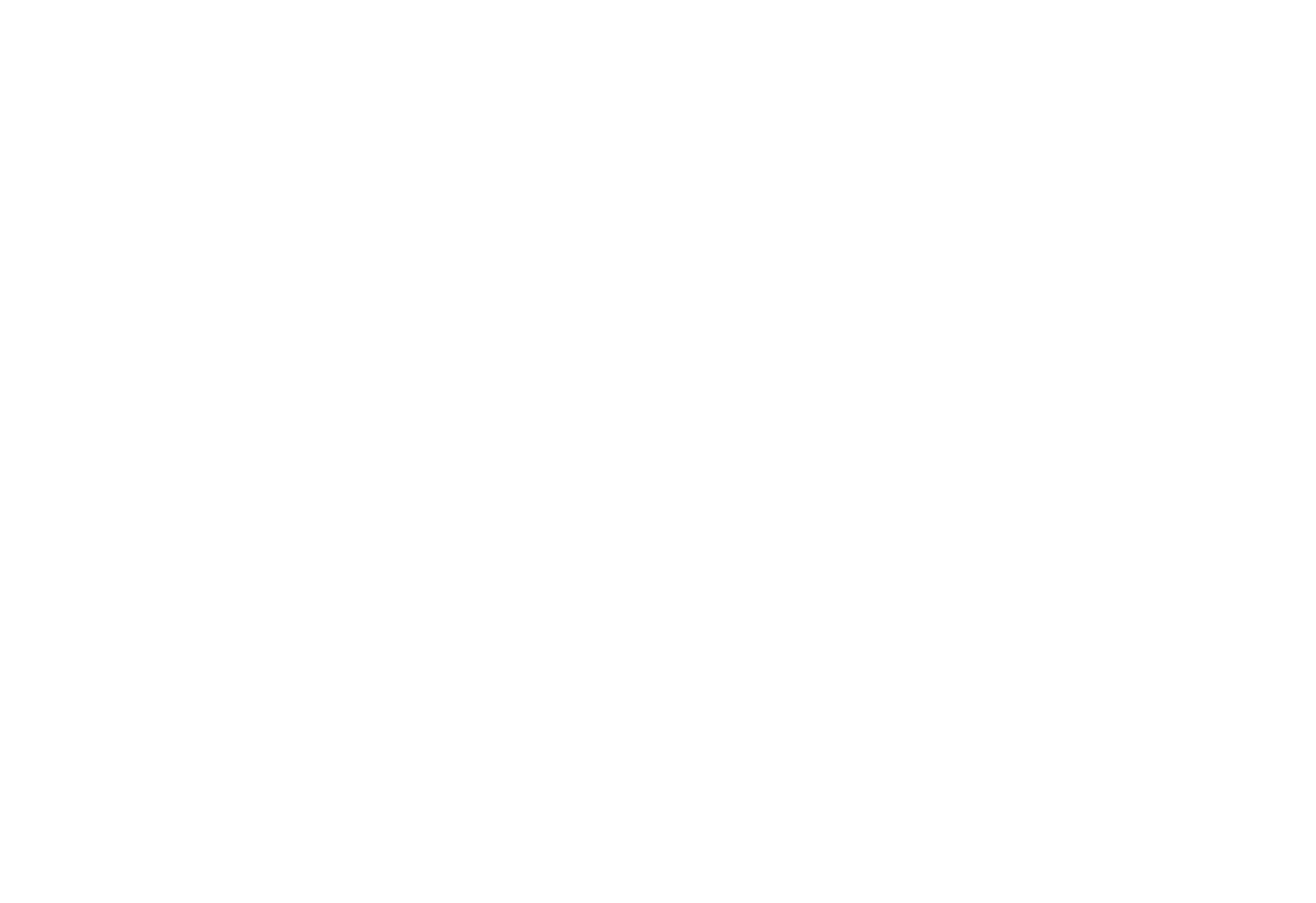 The Social Collective Limited logo