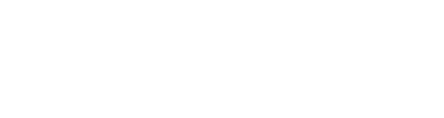 Saypient Limited logo