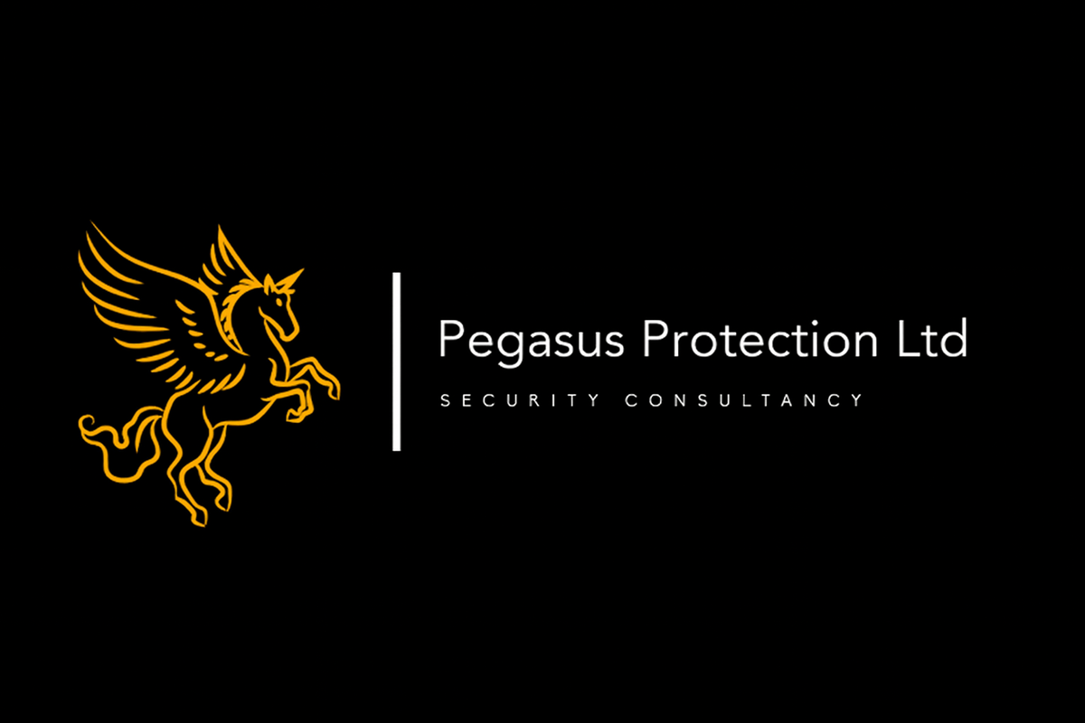 Pegasus Protection Ltd logo