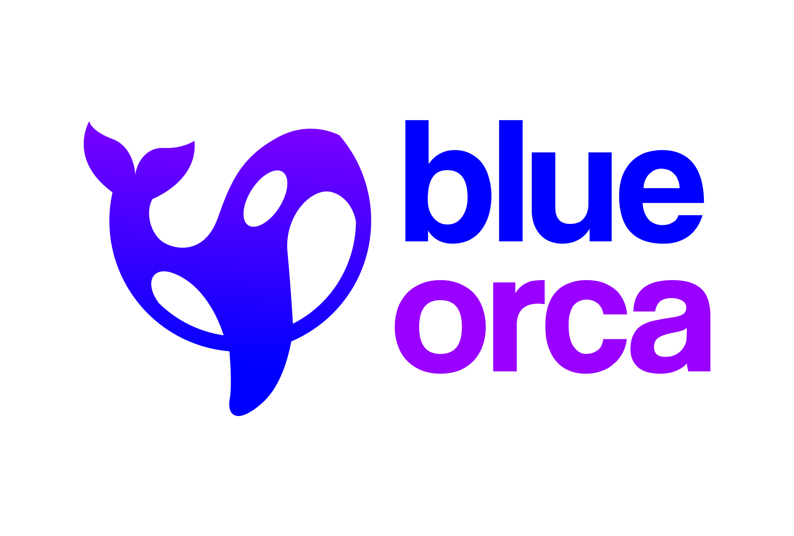 Blue Orca NZ logo