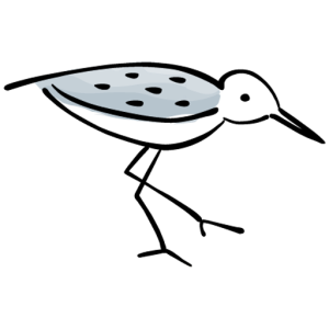 Sanderling Enterprises logo