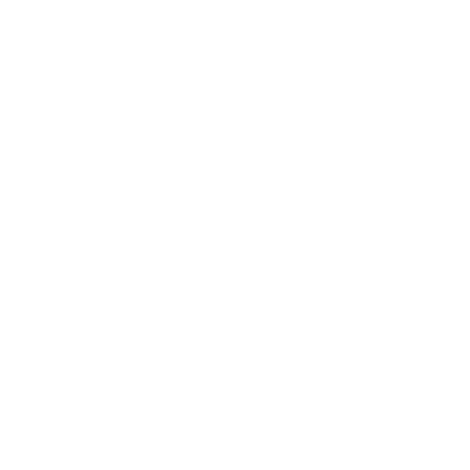 Skinner Build Ltd logo