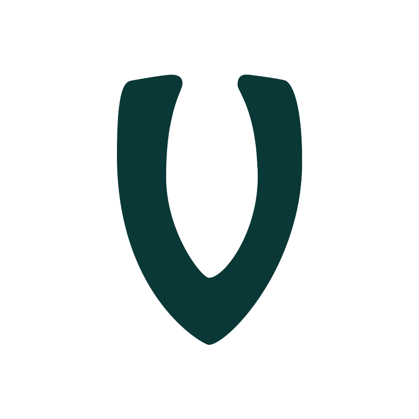Viking Pest logo