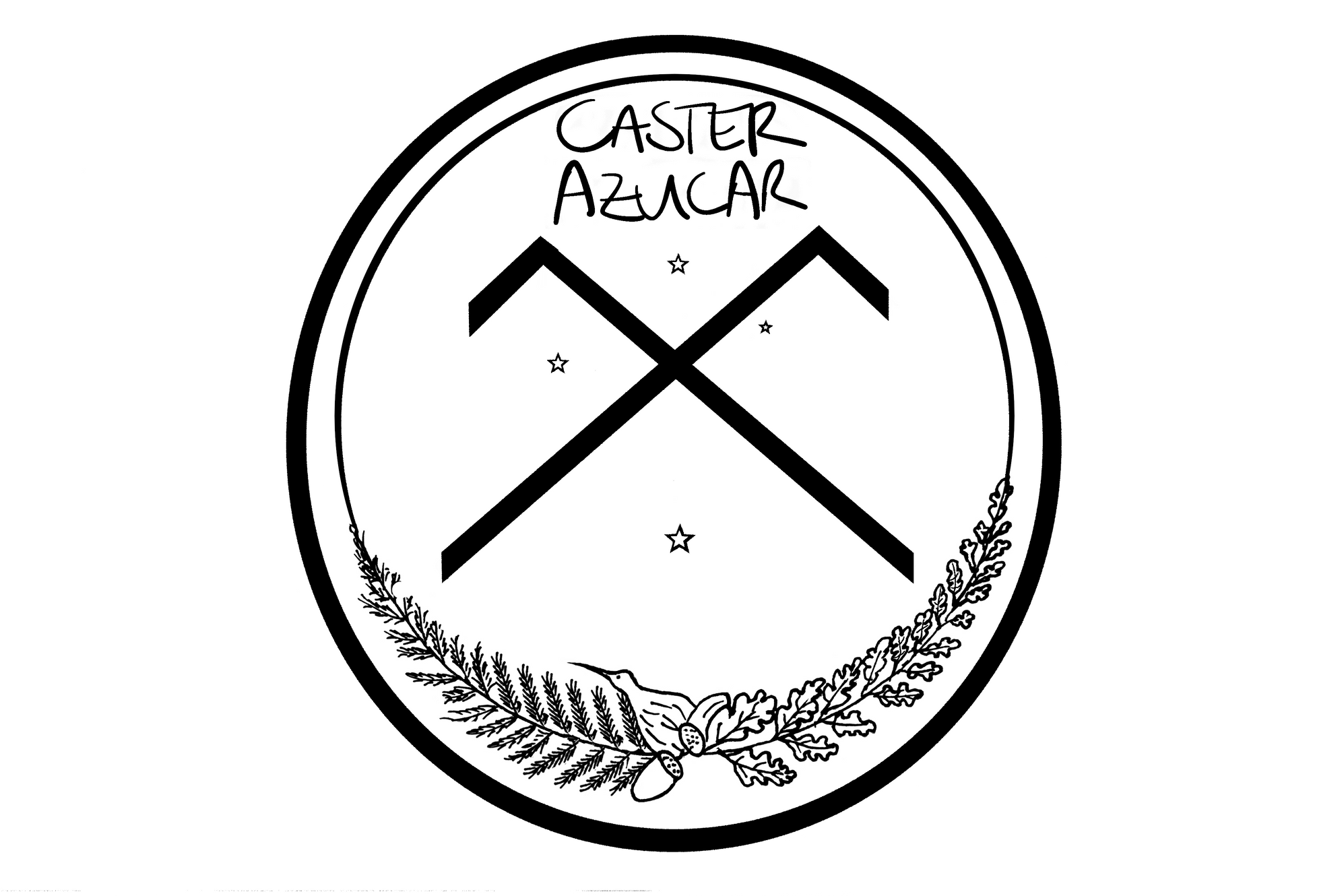 CasterAzucar Productions logo