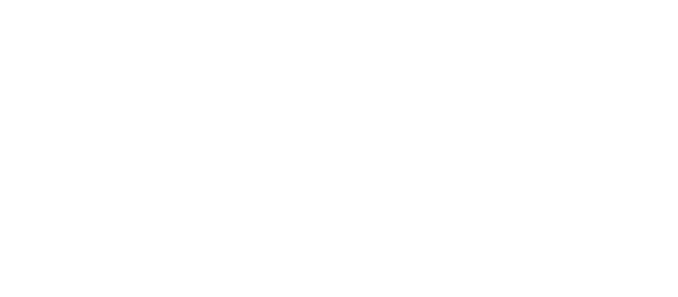 Apex Fencing Group logo