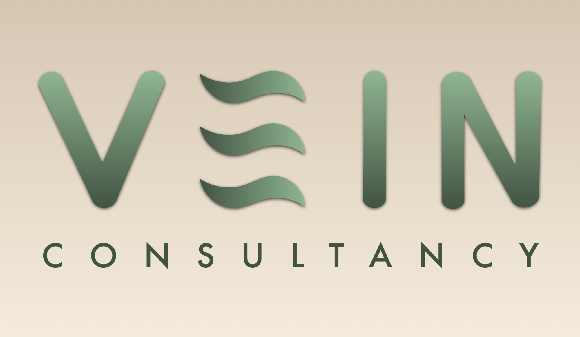Vein Consultancy Limited logo