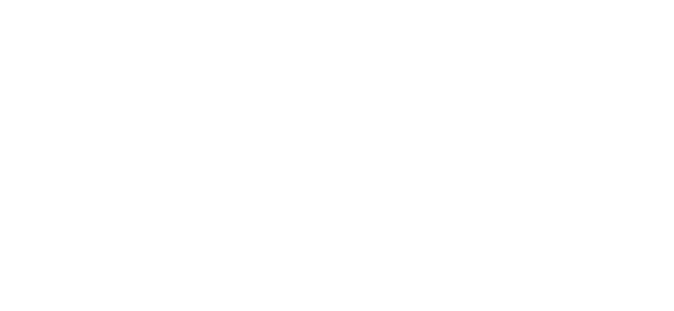 Newton Systems logo
